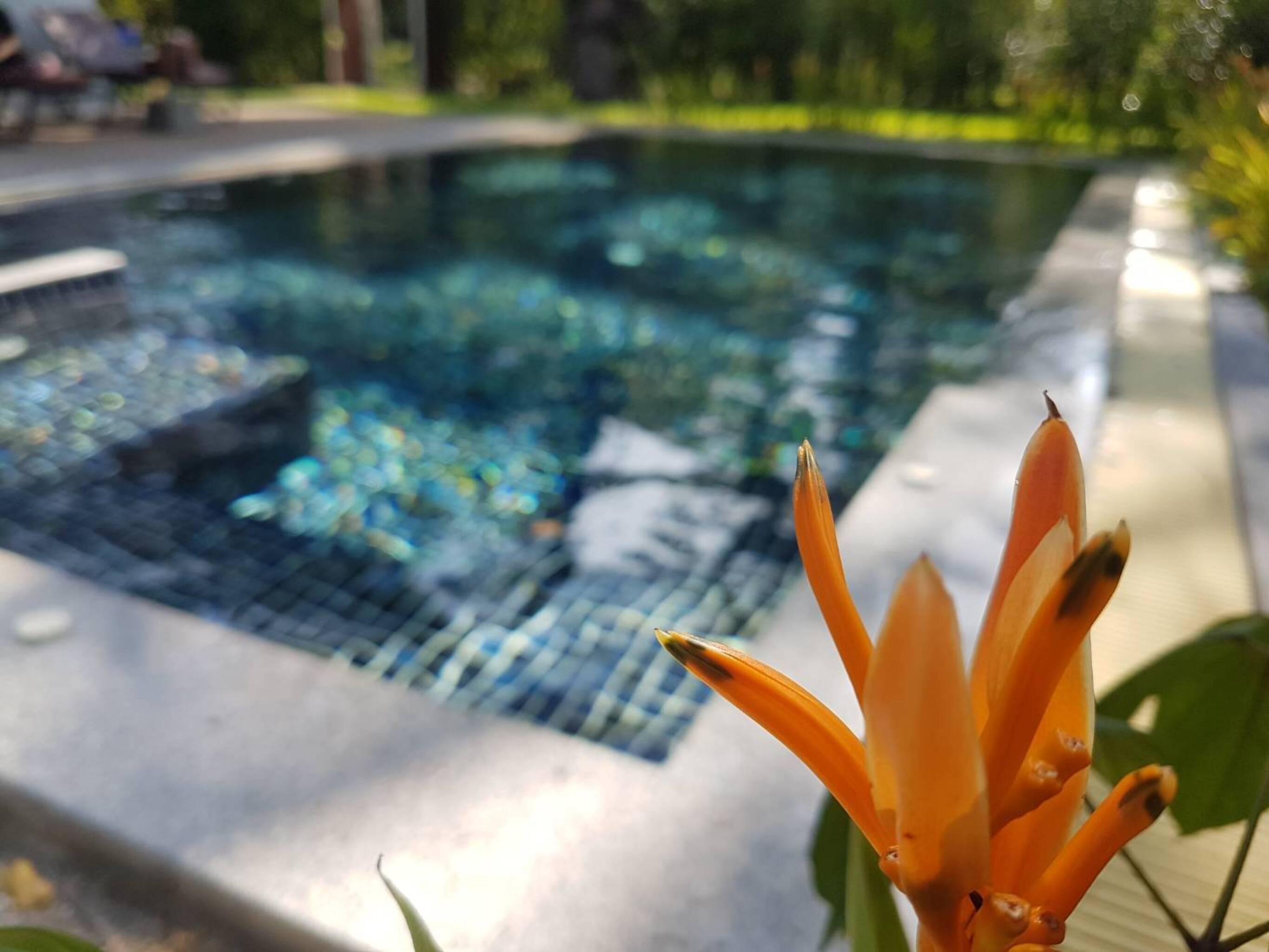 Alisea Pool Villa Aonang Ao Nang Dış mekan fotoğraf
