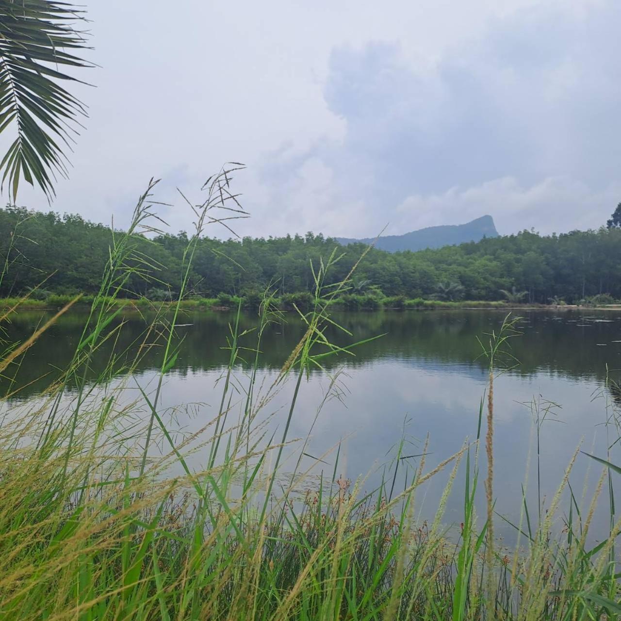 Alisea Pool Villa Aonang Ao Nang Dış mekan fotoğraf